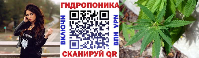 купить закладку  Азов  Бошки Шишки OG Kush 